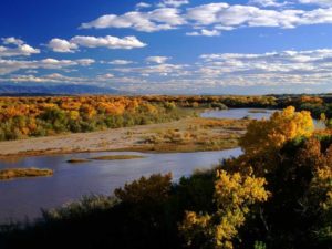 New Mexico beauty